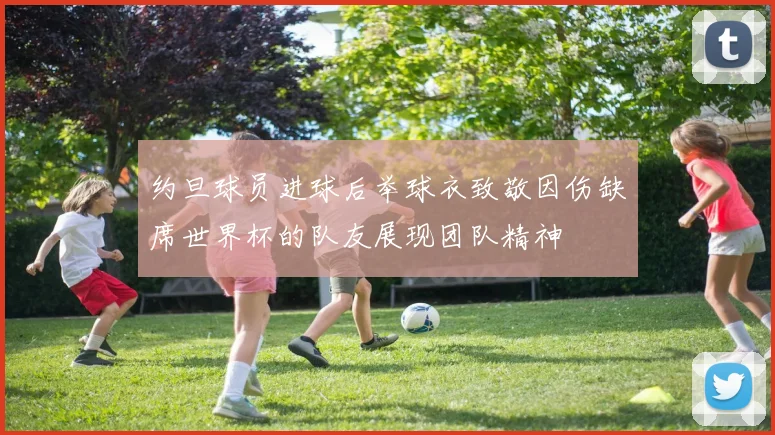 约旦球员进球后举球衣致敬因伤缺席世界杯的队友展现团队精神