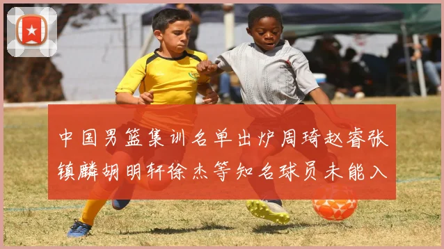 中国男篮集训名单出炉周琦赵睿张镇麟胡明轩徐杰等知名球员未能入选