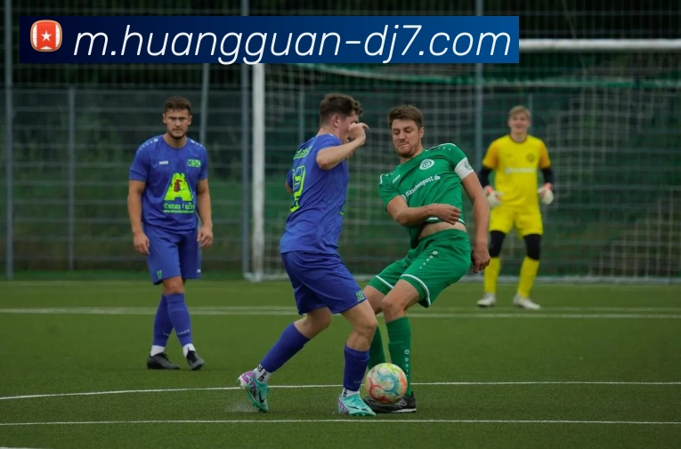 皇冠电竞平台生态图